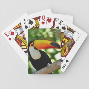 Toucan Playing Cards by wildlifecollection at Zazzle