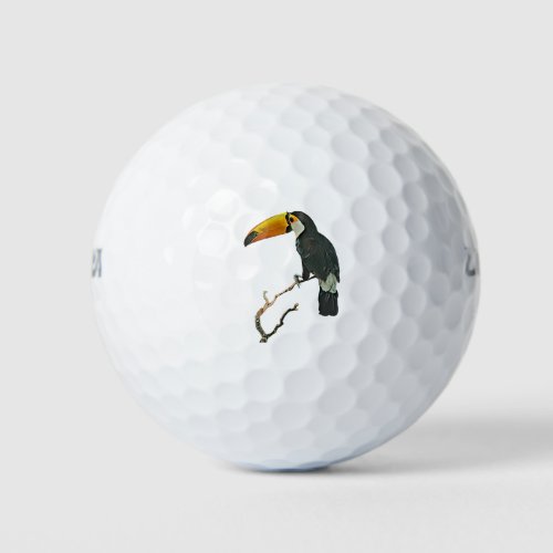 Toucan Portrait Animal Tropical Bird Design Golf Balls