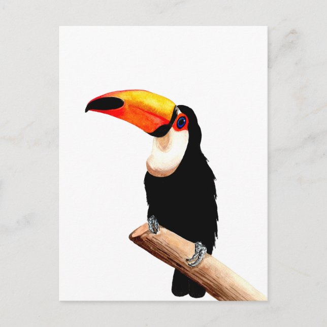 Toucan Postcard (Front)