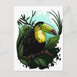 Toucan Postcard