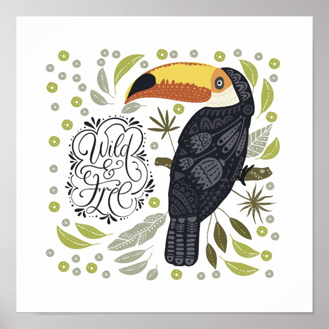 Toucan Posters (Front)