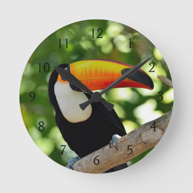 Toucan Round Clock (Front)