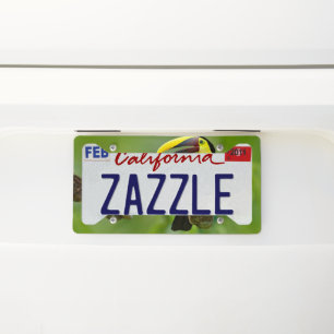 Toucan sitting on the branch in the forest license plate frame