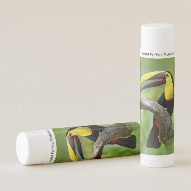 Toucan sitting on the branch in the forest lip balm (Front)