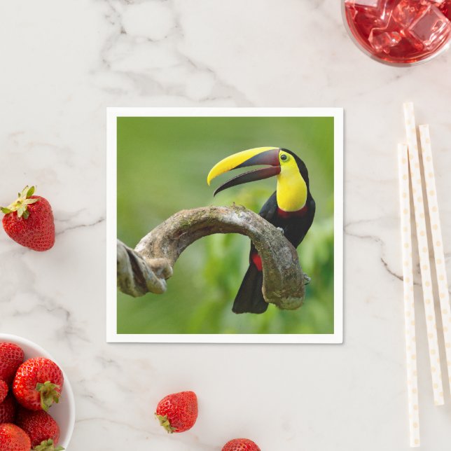 Toucan sitting on the branch in the forest napkins (Insitu)