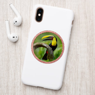 Toucan sitting on the branch in the forest patch