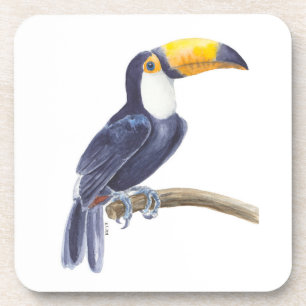 Toucan, tropical bird beverage coaster