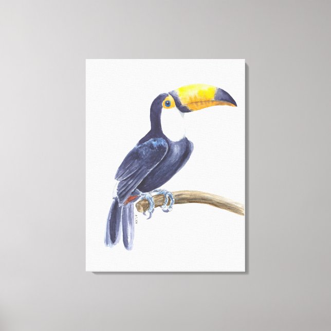 Toucan, tropical bird canvas print (Front)