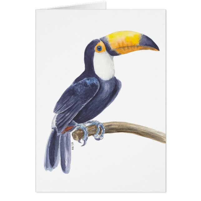 Toucan, tropical bird cards (Front)
