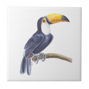 Toucan, tropical bird ceramic tile