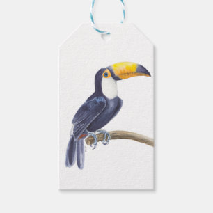 Toucan, tropical bird gift tags