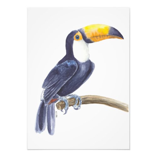 Toucan tropical bird photo print