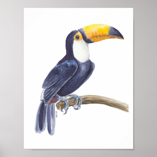 Toucan tropical bird poster