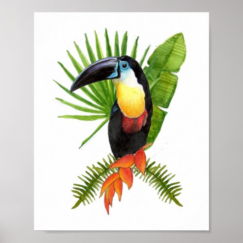 Toucan tropical bird watercolor Poster