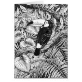 Toucan tropical garden (Front)