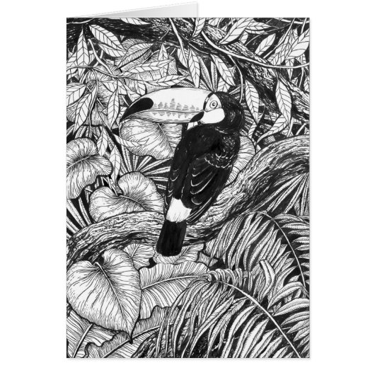 Toucan tropical garden cards (Front)