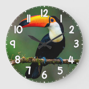 Toucan Wall Clock – Tropical Bird Wildlife Nature