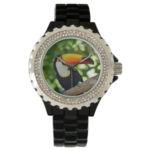 Toucan Watch