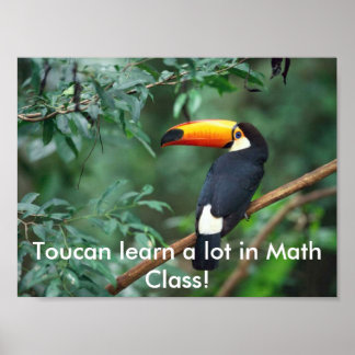 ToucanMath Poster