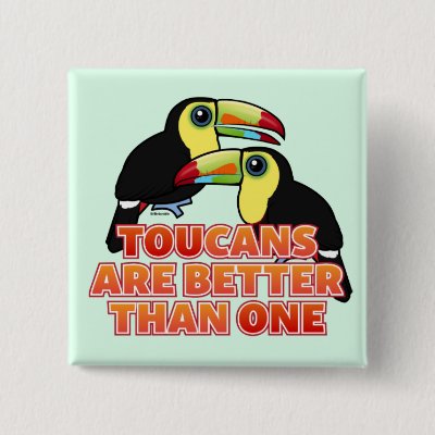 Toucans Are Better Than One Pinback Button