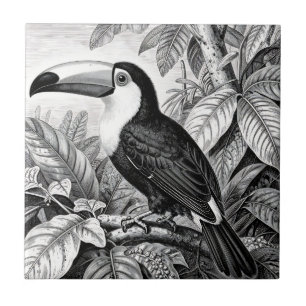 Toucans Jungle Foliage Engraving Ceramic Tile