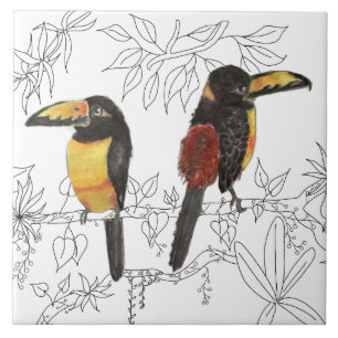 Toucans on a Ceramic Tile (W)