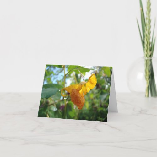 Touch_Me_Not Orange Wildflower Card