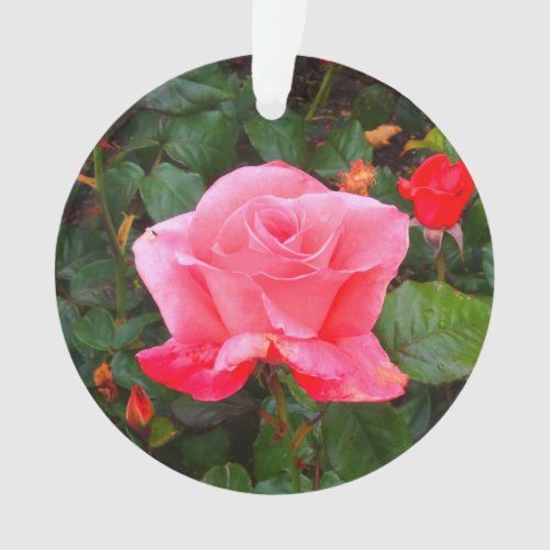 Touch of Class Rose 1 Ornament