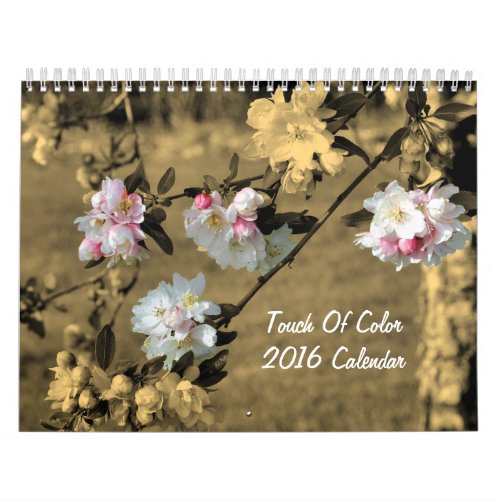 Touch Of Color Flowers And Nature Calendar