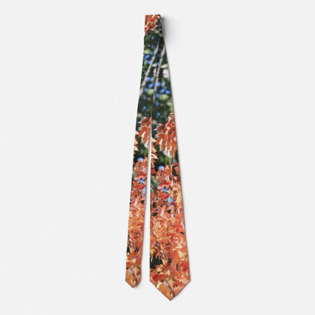 Touch of Fall Neck Tie (Back)