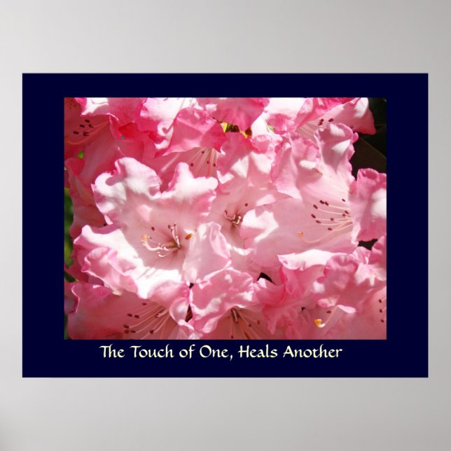 Touch of One, Heals Another art print Pink Rhodies (Front)