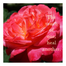 Touch of one heals another Healing Rose art prints