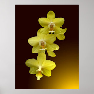 Touch of Oriental Poster