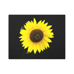Touch of Sunflower Metal Print