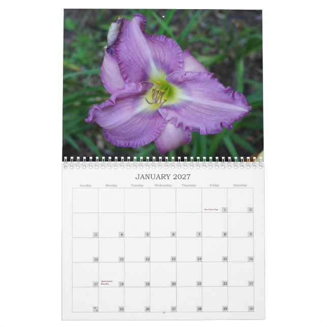 Touch of the Sun Daylilies II Calendar (Jan 2027)