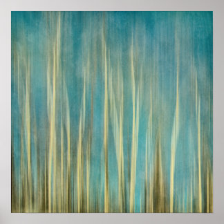 touching the sky aspen tree forest abstraction poster