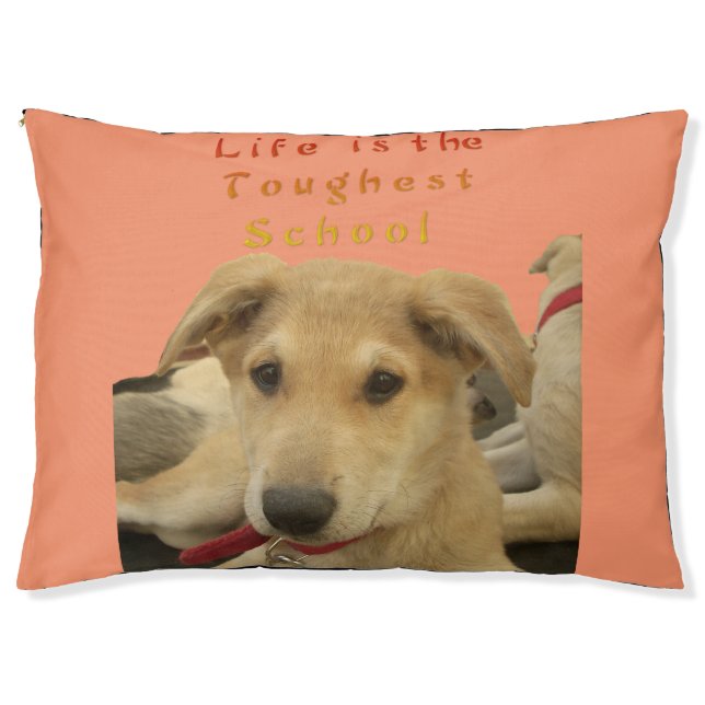 Tough life Large Custom Outdoor Dog Bed (Front)