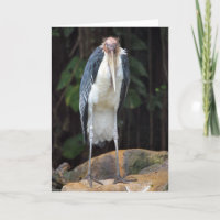 Tough Old Bird Birthday Card
