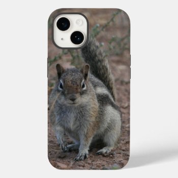 Tough Squirrel Case-mate Iphone 14 Case by BuzBuzBuz at Zazzle