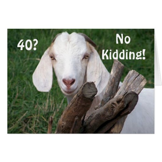 TOUGH TIMES-=NO KIDDING "40th" (Front Horizontal)