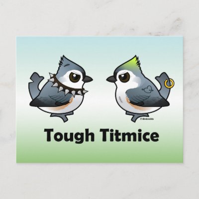 Tough Titmice Postcard
