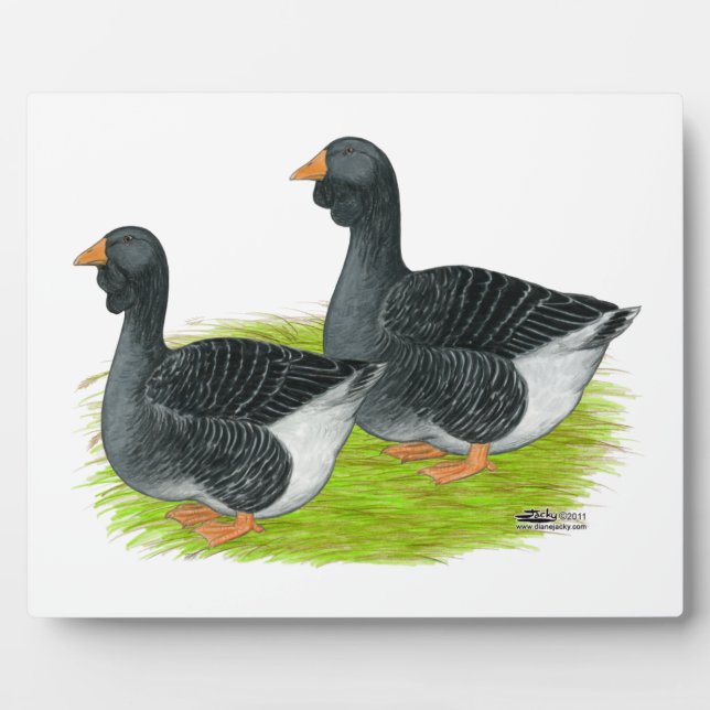 Toulouse Dewlap Geese Plaque (Front)