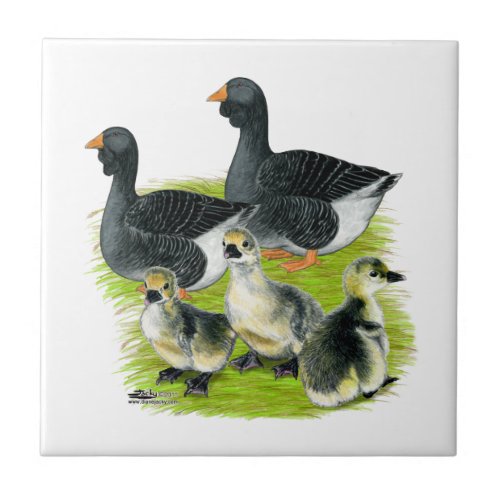 Toulouse Goose Family Ceramic Tile