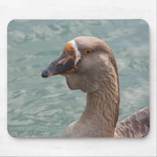 Toulouse Goose Mouse Pad
