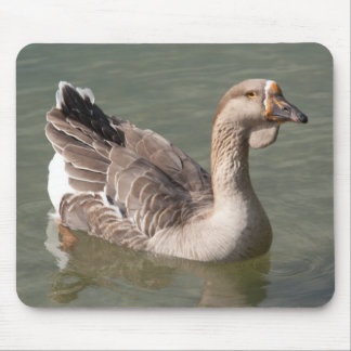 Toulouse Goose Mouse Pad