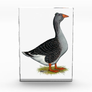 Toulouse Goose Tufted Award