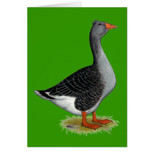 Toulouse Goose Tufted Cards (Front)