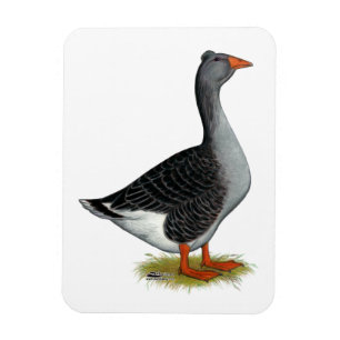 Toulouse Goose Tufted Magnet