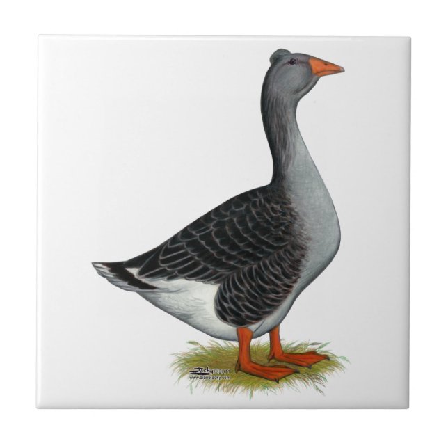 Toulouse Goose Tufted Tile (Front)