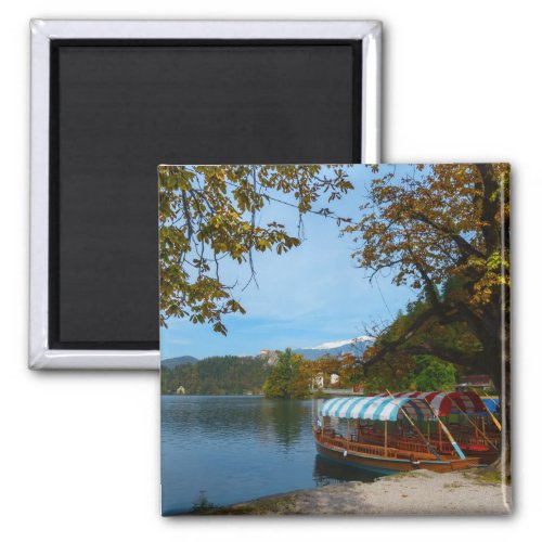 Tourist boats in Lake Bled in autumn Magnet